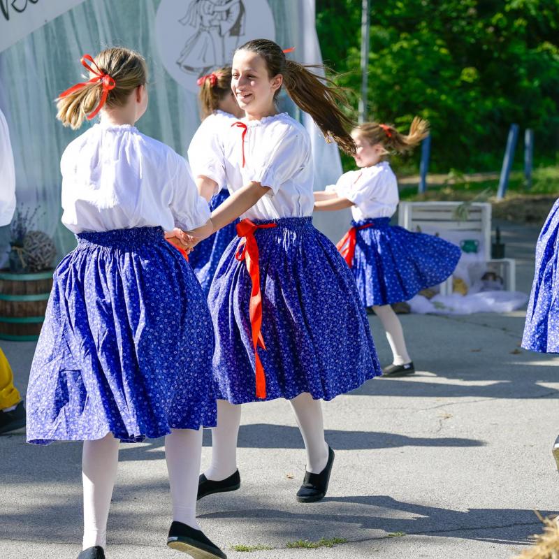 Dan sporta i Češke kulture 2026.