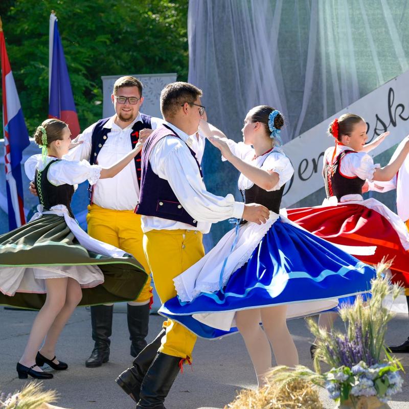 Dan sporta i Češke kulture 2026.