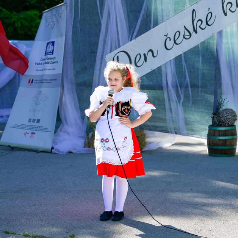 Dan sporta i Češke kulture 2026.