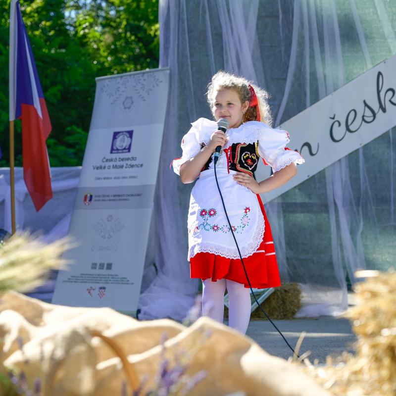 Dan sporta i Češke kulture 2026.