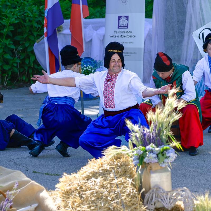 Dan sporta i Češke kulture 2026.