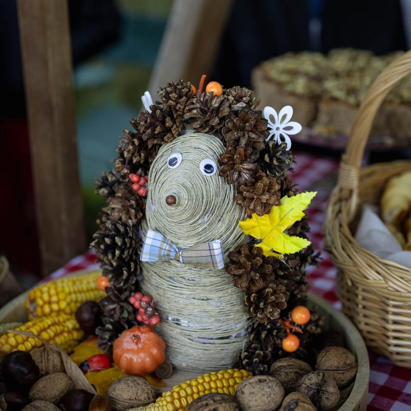 8. Velikogrđevačka komušana