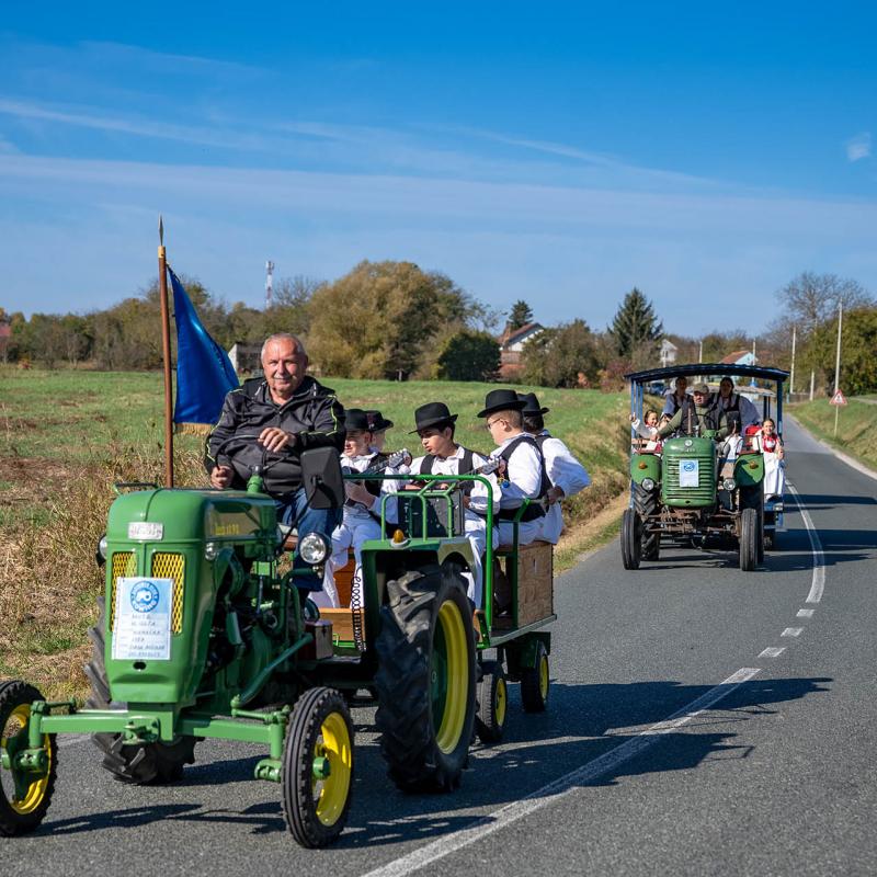 8. Velikogrđevačka komušana