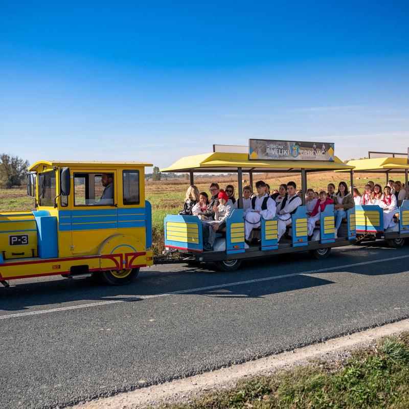 8. Velikogrđevačka komušana