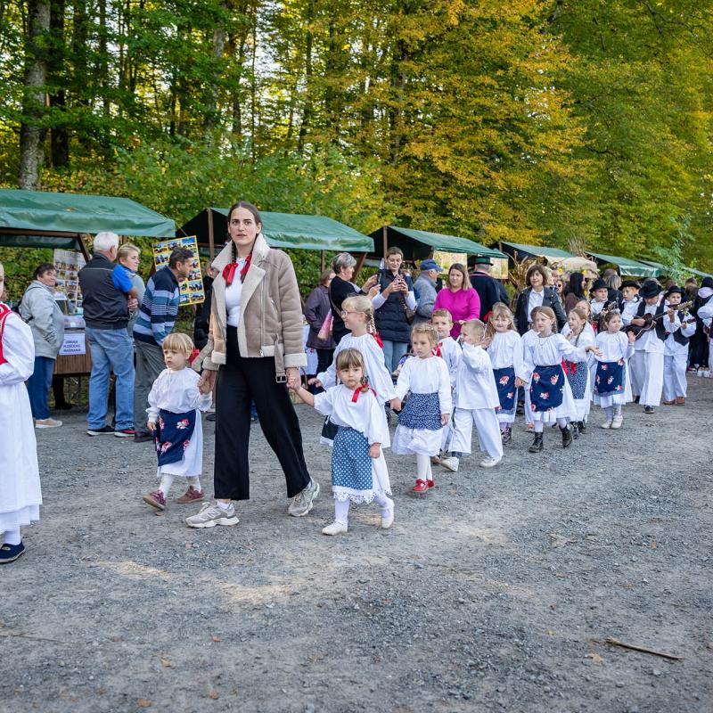 8. Velikogrđevačka komušana