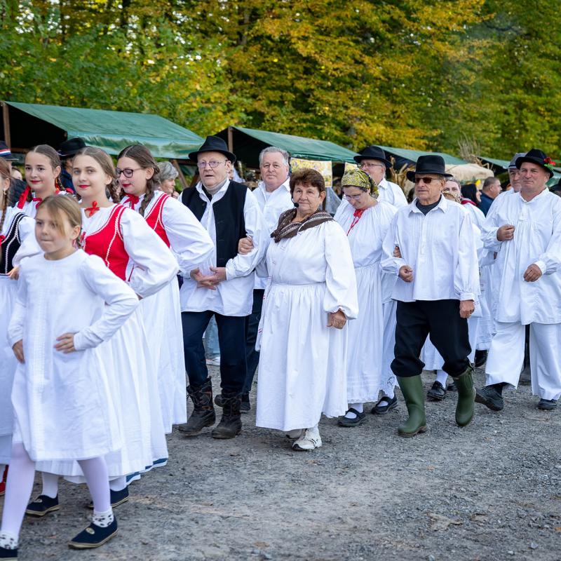 8. Velikogrđevačka komušana