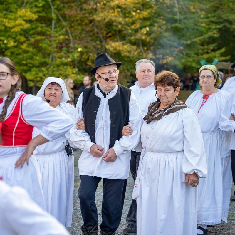 8. Velikogrđevačka komušana