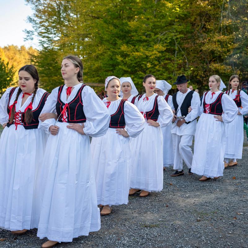 8. Velikogrđevačka komušana