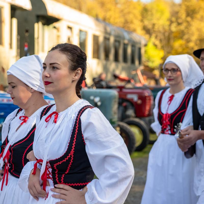 8. Velikogrđevačka komušana