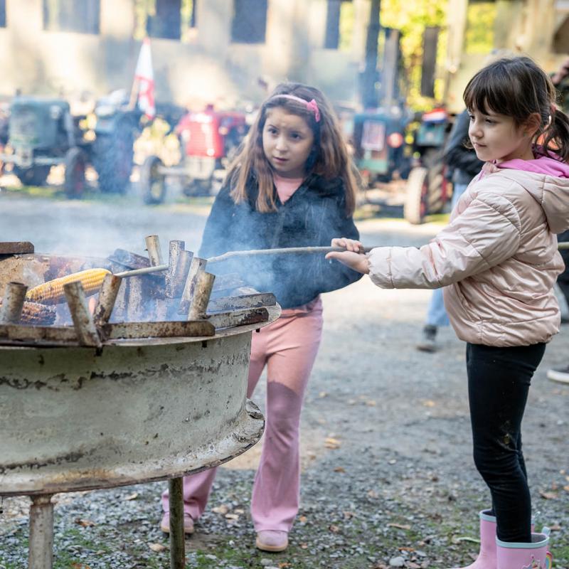 8. Velikogrđevačka komušana