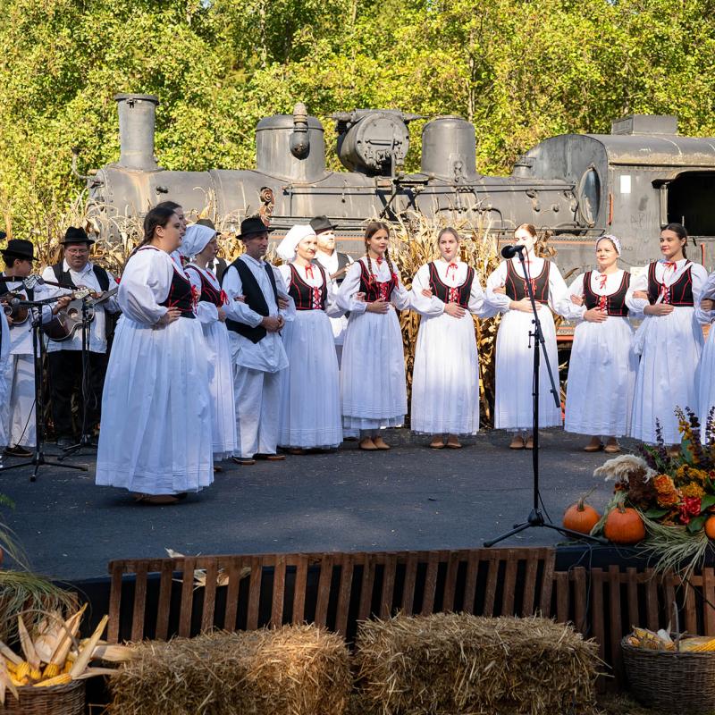 8. Velikogrđevačka komušana