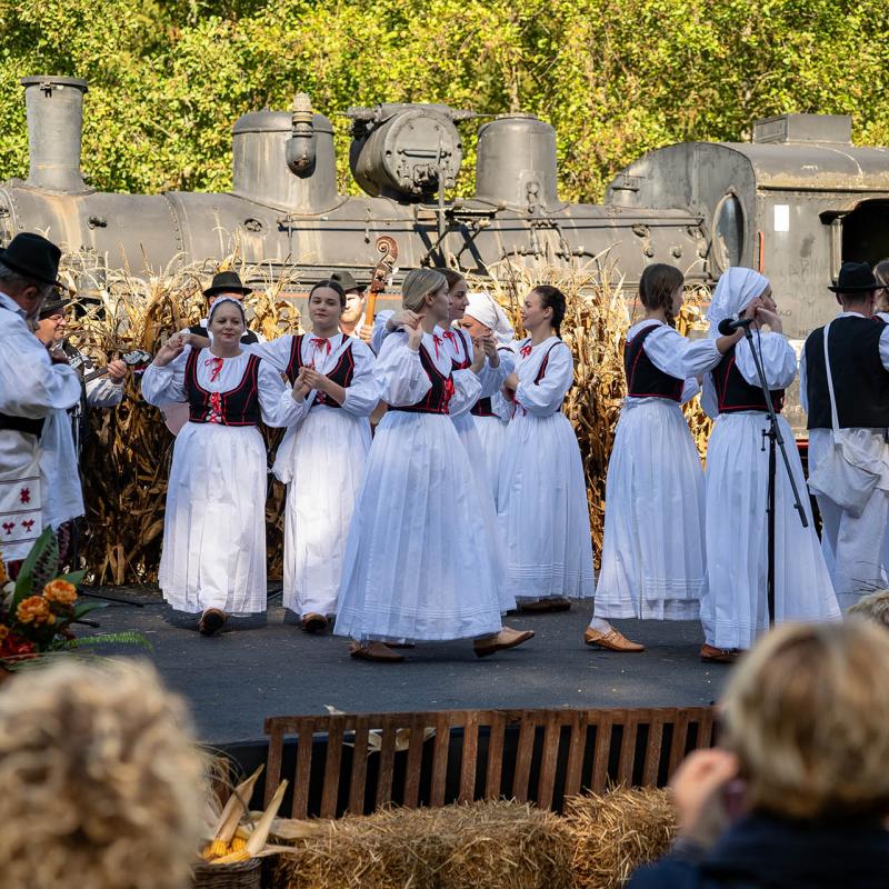 8. Velikogrđevačka komušana