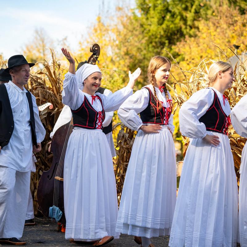 8. Velikogrđevačka komušana