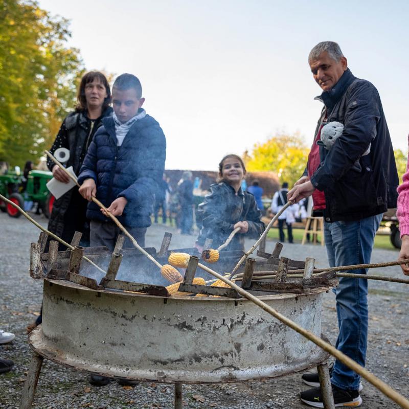 8. Velikogrđevačka komušana