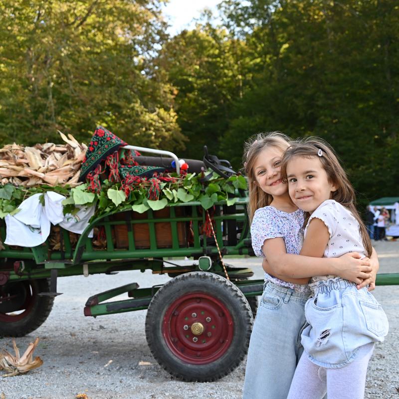 5. Velikogrđevačka komušana