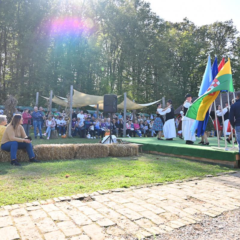 5. Velikogrđevačka komušana