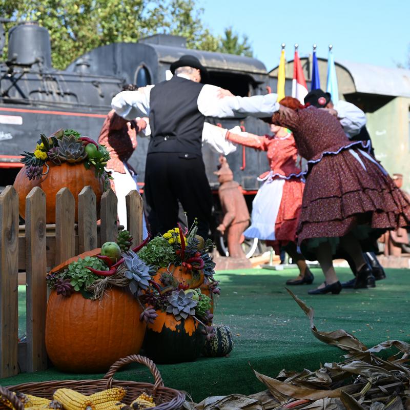 5. Velikogrđevačka komušana